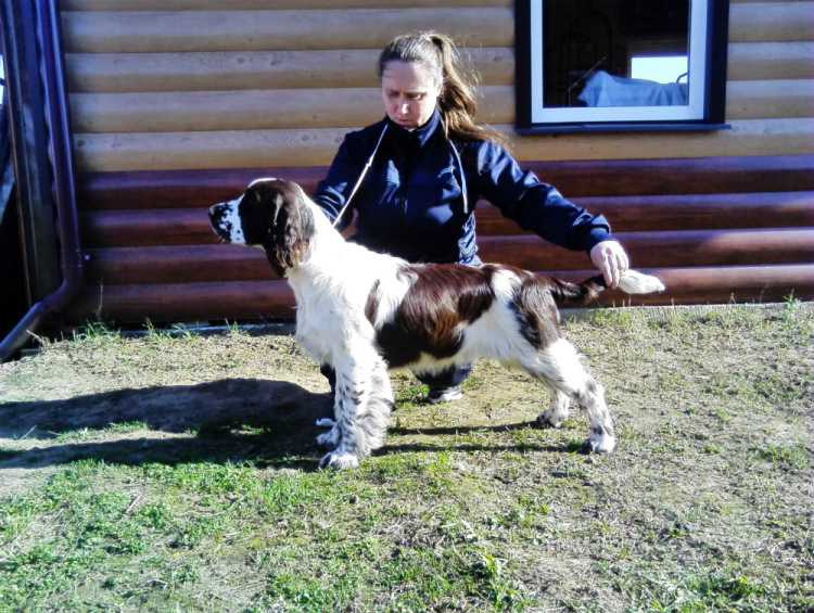 194947-6997f-94471491-m750x740-u2bea8.jp