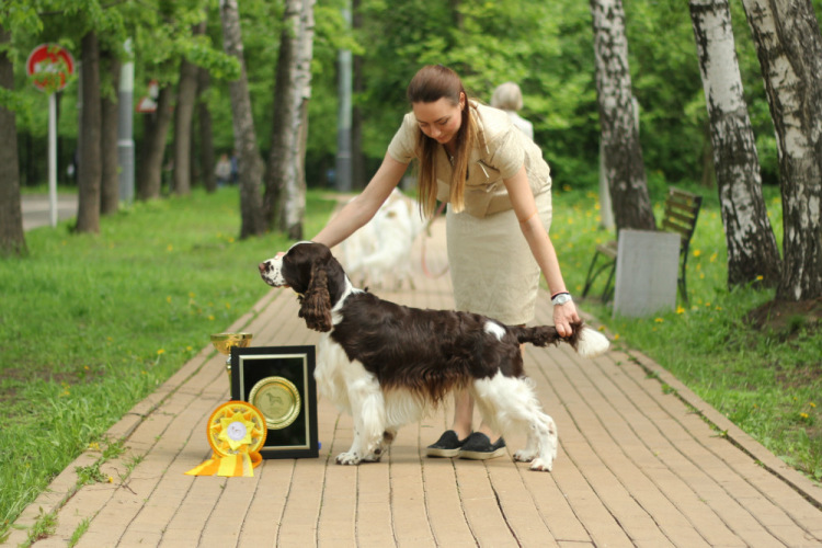 194947-7e7f4-87324476-m750x740-u6d744.jp