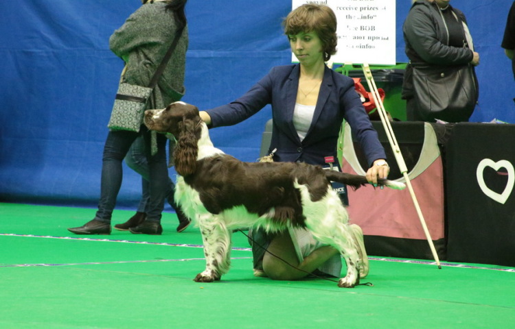 194947-ac8e5-94471598-m750x740-u56cc9.jp