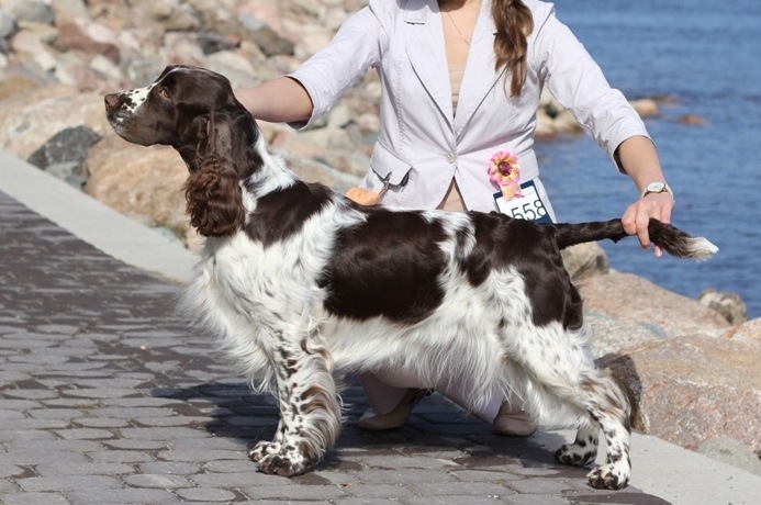 194947-5416a-87631305-m750x740-u4adac.jp